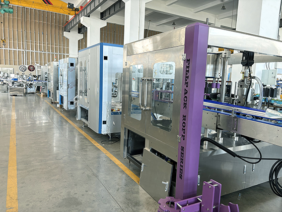 When to Choose a Professional Labeling Machine Solution